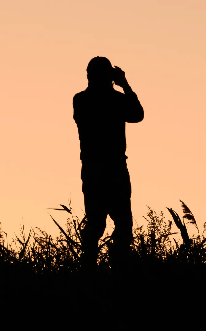 A birder scanning the treeline with binoculars at Higbee Beach, Cape May