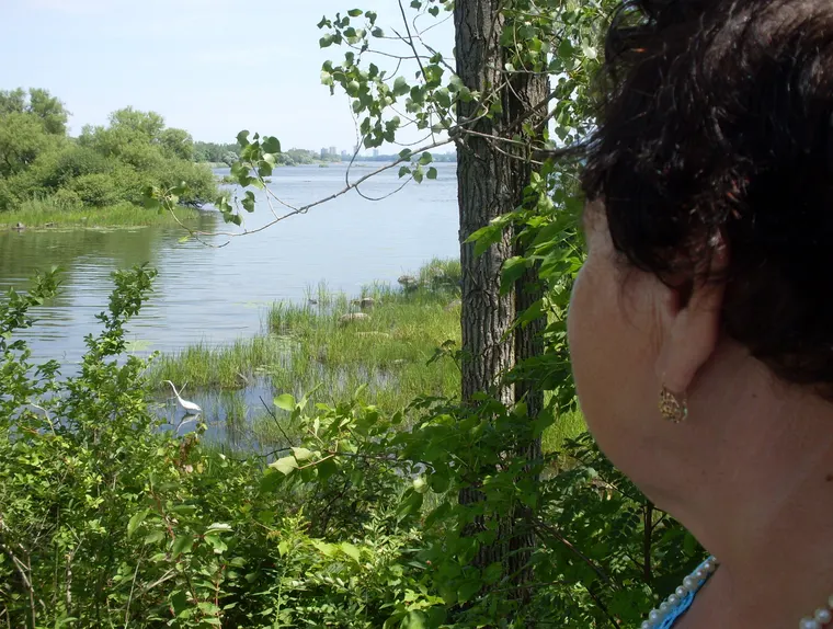 A birdwatcher raising binoculars towards a white bird on a lake