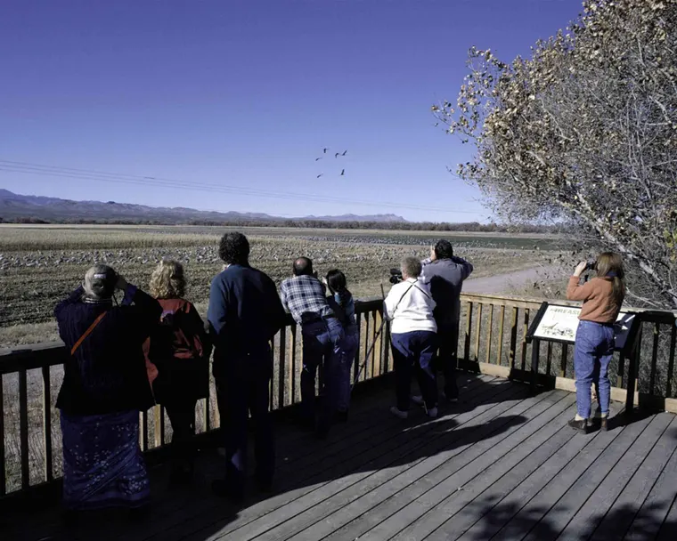 Birdwatchers on a wooden deck observing through binoculars and cameras