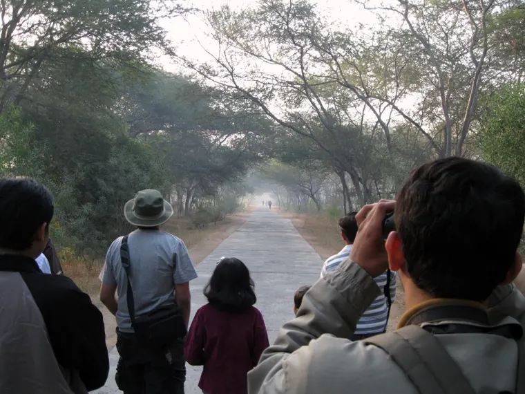 A birdwatcher looking out across open country with binoculars raised