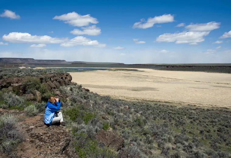 A woman birdwatching from a scenic overlook