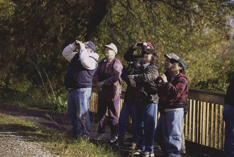 Two birders leaning in for a closer look through their binoculars