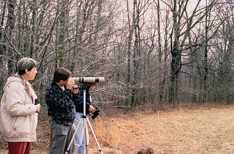 Three people sharing a spotting scope and binoculars to watch wildlife