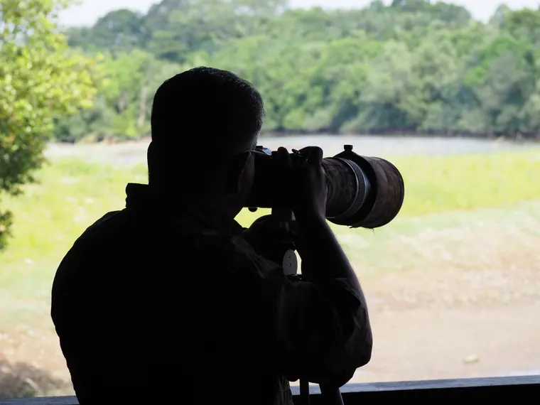 A bird watcher framing a shot with a long camera lens