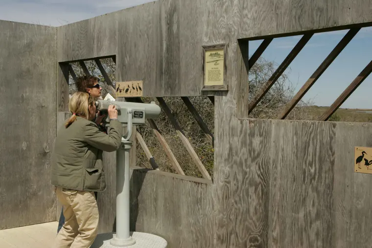 Visitors watching birds through a spotting scope from inside a hide